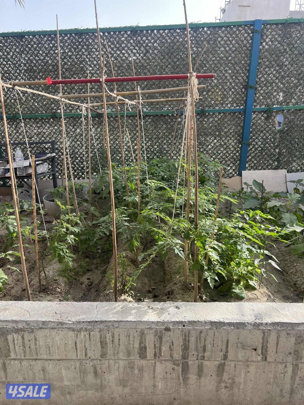 شقة في خيطان قريب جدا من جمعية ومسجد ومدرسة ابتدائية7