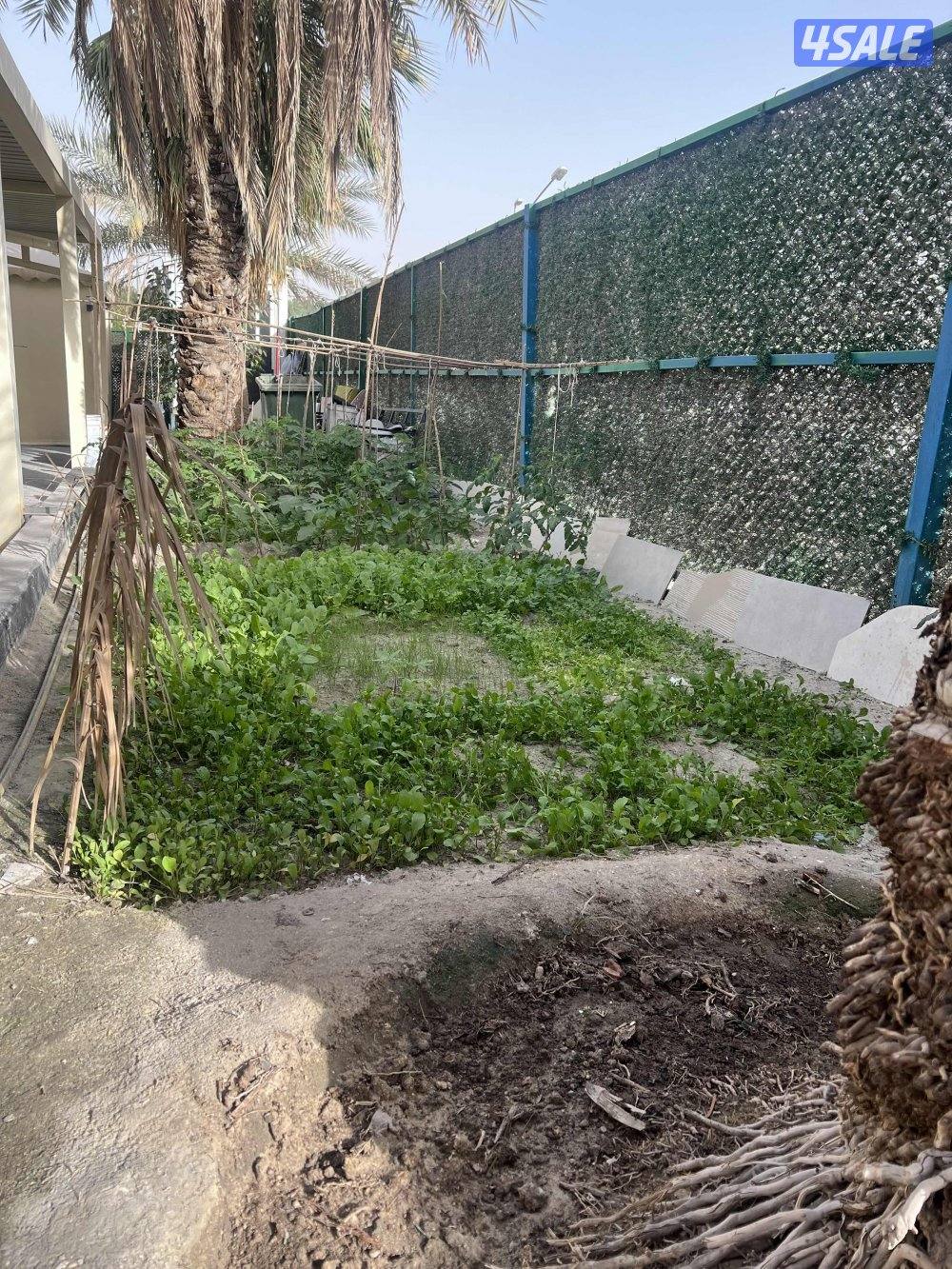 شقة في خيطان قريب جدا من جمعية ومسجد ومدرسة ابتدائية9