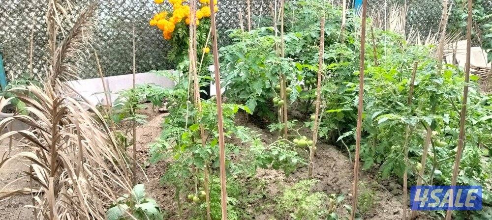 شقة في خيطان قريب جدا من جمعية ومسجد ومدرسة ابتدائية12