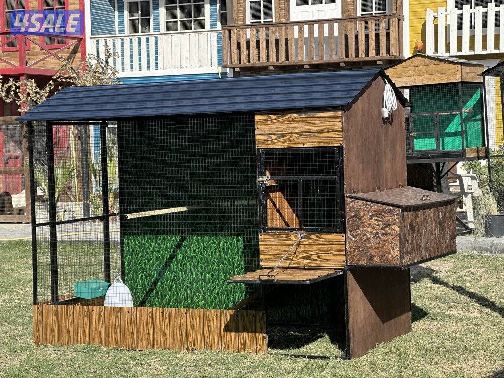 بيوت لدواجن2