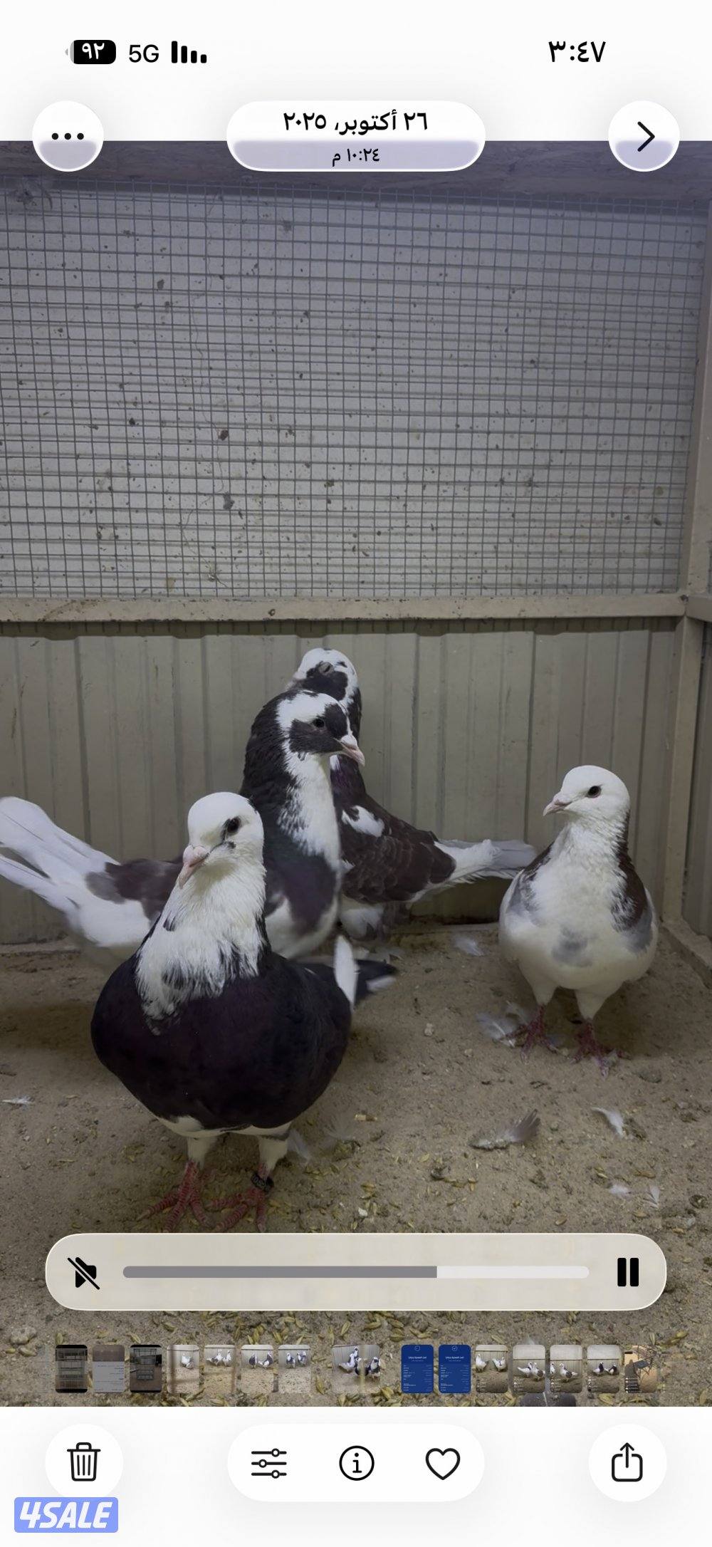 أزواج لاحم الوزان4