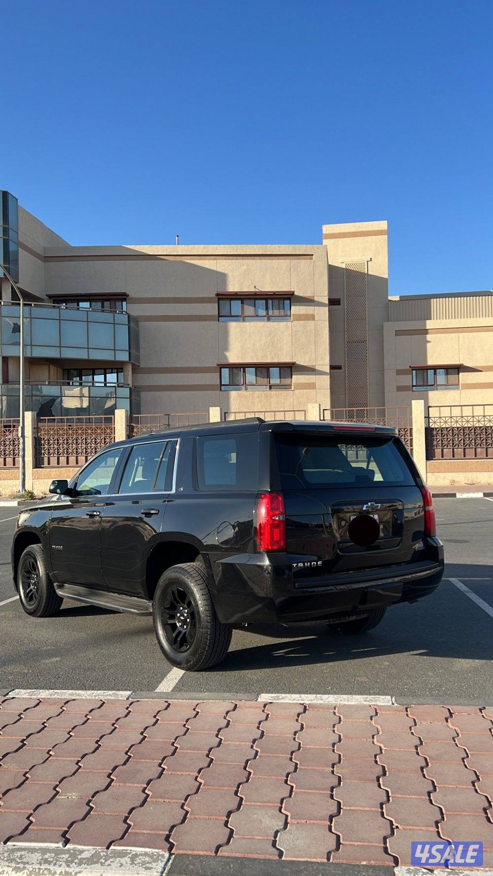 تاهو LS2 الغانم صبغ الوكالة عدا 3 قطع تجميل2