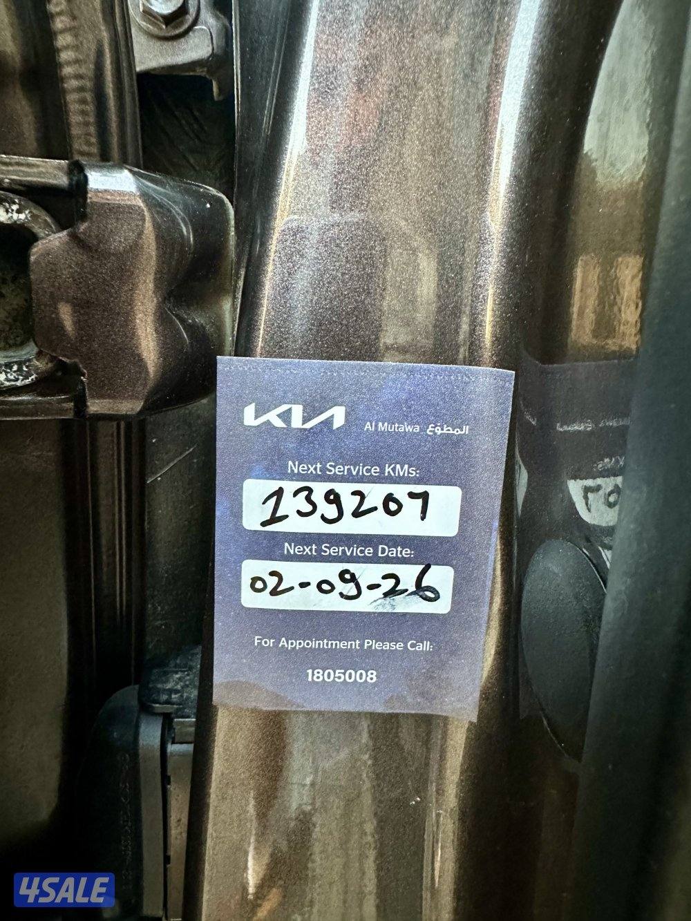 كرنفال موديل 2018 صبغ الوكاله7