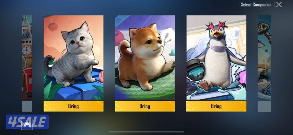 حساب رخيص - M4 إس ماكس + أقم + امب إس + اكسصيت إس 5 ⭐️15