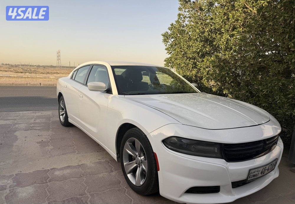 شرط الفحص صبغ الوكاله سيرفس منتظم0