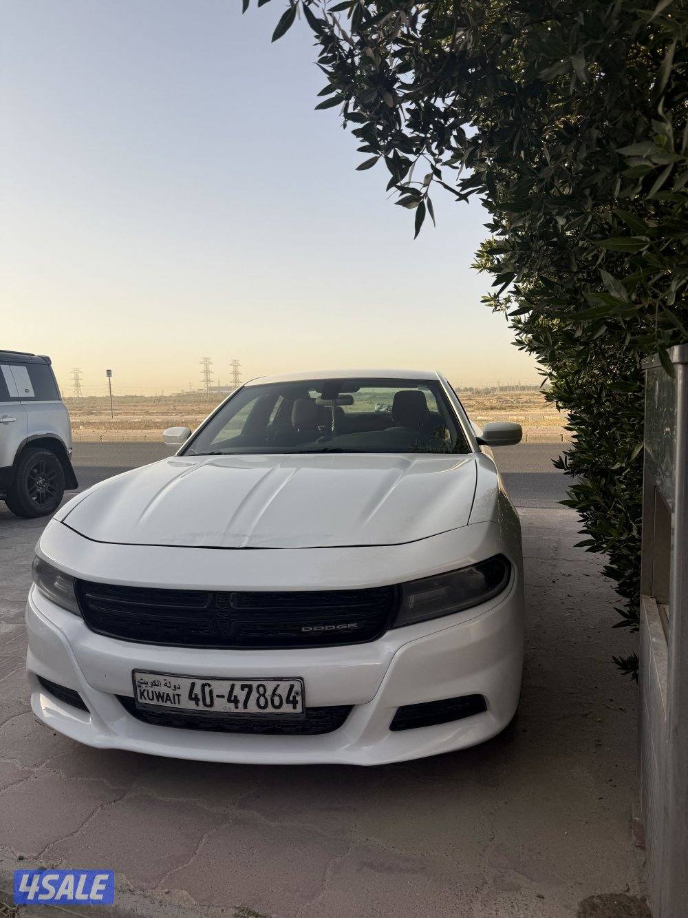 شرط الفحص صبغ الوكاله سيرفس منتظم1