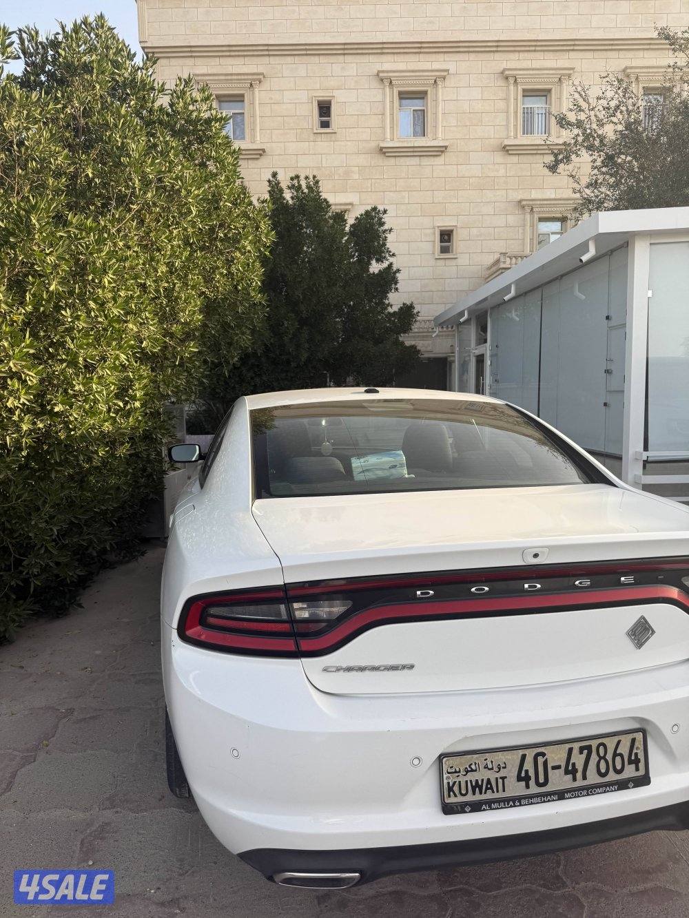 شرط الفحص صبغ الوكاله سيرفس منتظم2