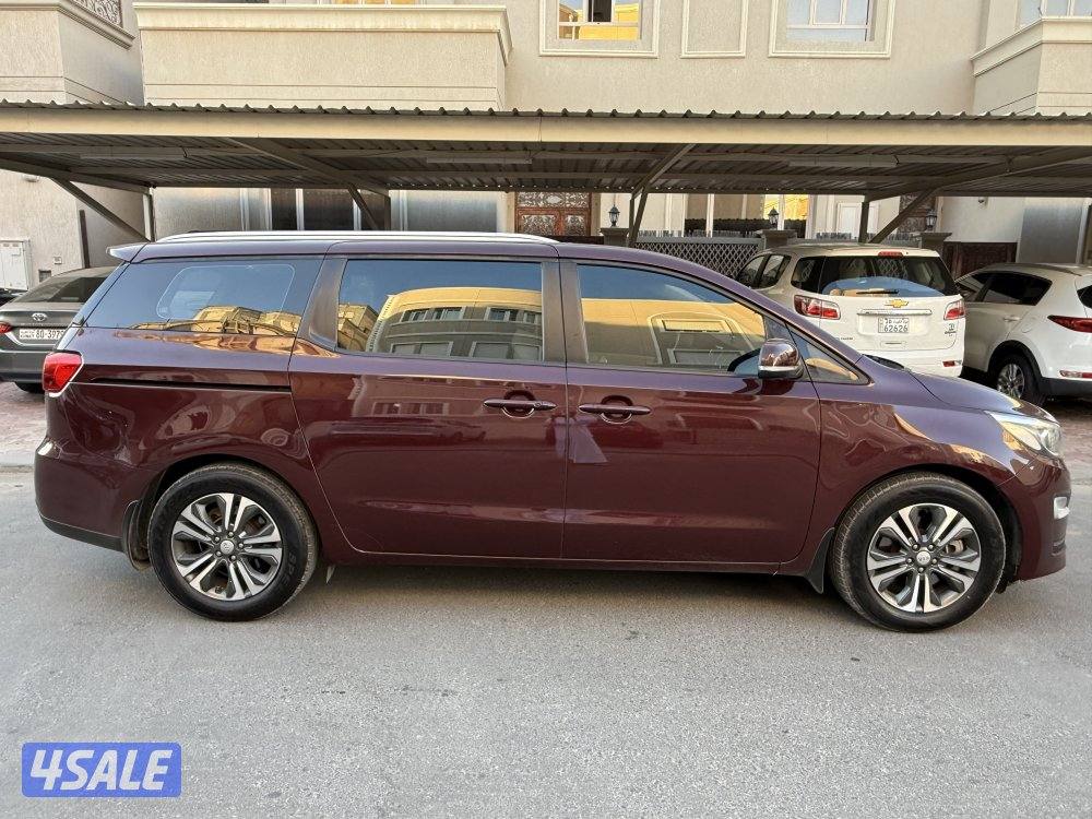 كرنفال 2019 صبغ وكاله عداد ١٨٠0