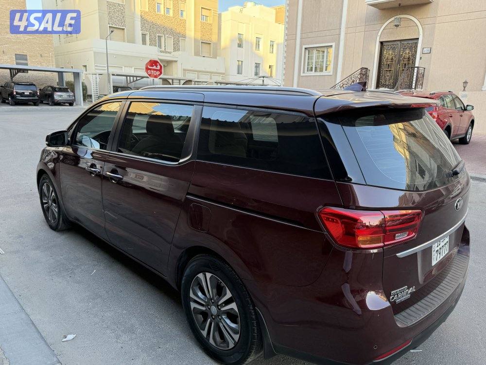 كرنفال 2019 صبغ وكاله عداد ١٨٠1