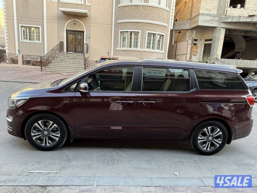 كرنفال 2019 صبغ وكاله عداد ١٨٠3