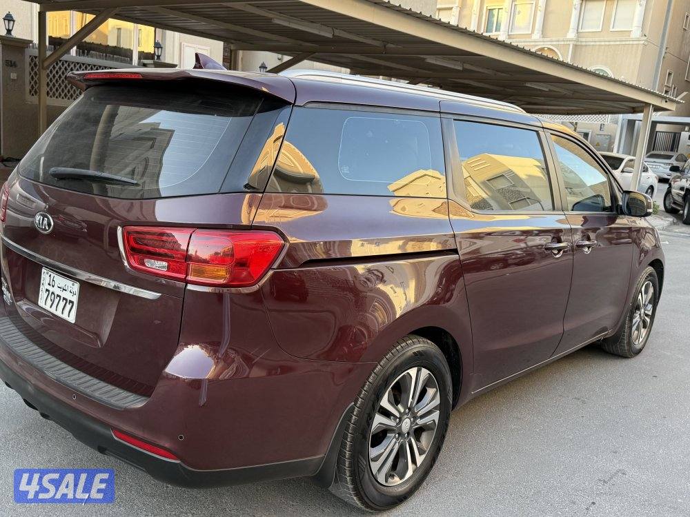 كرنفال 2019 صبغ وكاله عداد ١٨٠5