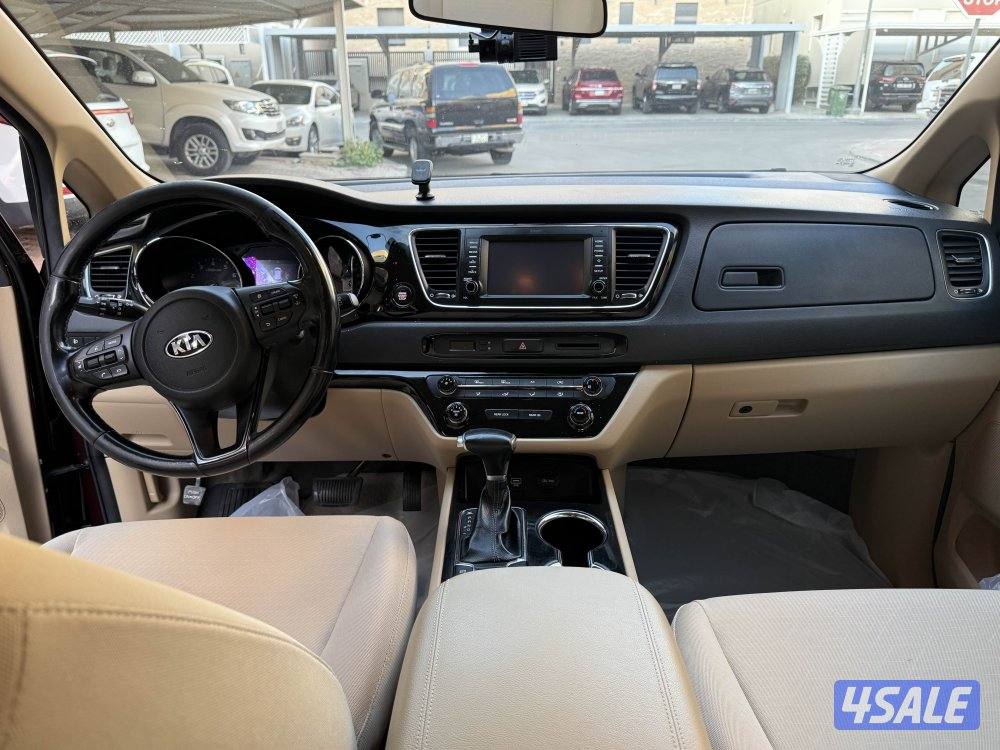 كرنفال 2019 صبغ وكاله عداد ١٨٠7