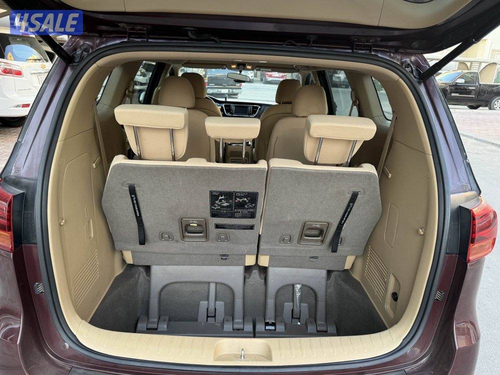 كرنفال 2019 صبغ وكاله عداد ١٨٠8