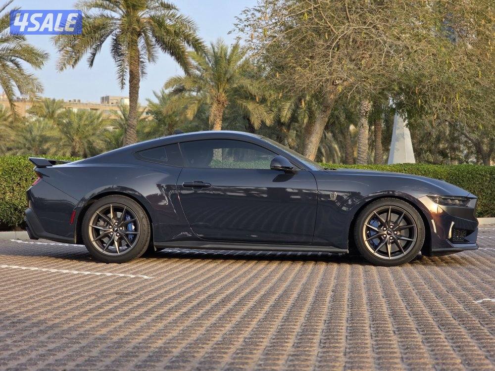 دارك هورس 20255