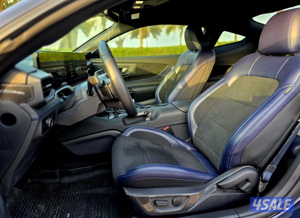 دارك هورس 20258