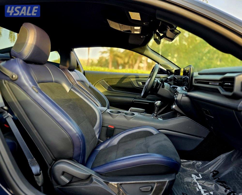 دارك هورس 20259