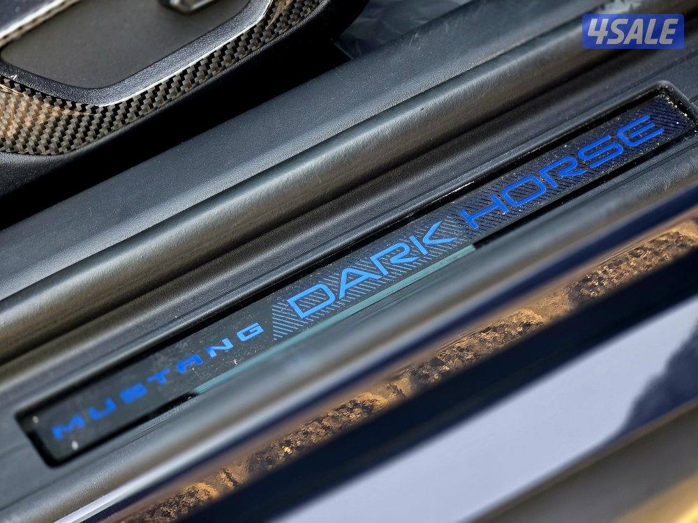 دارك هورس 202513