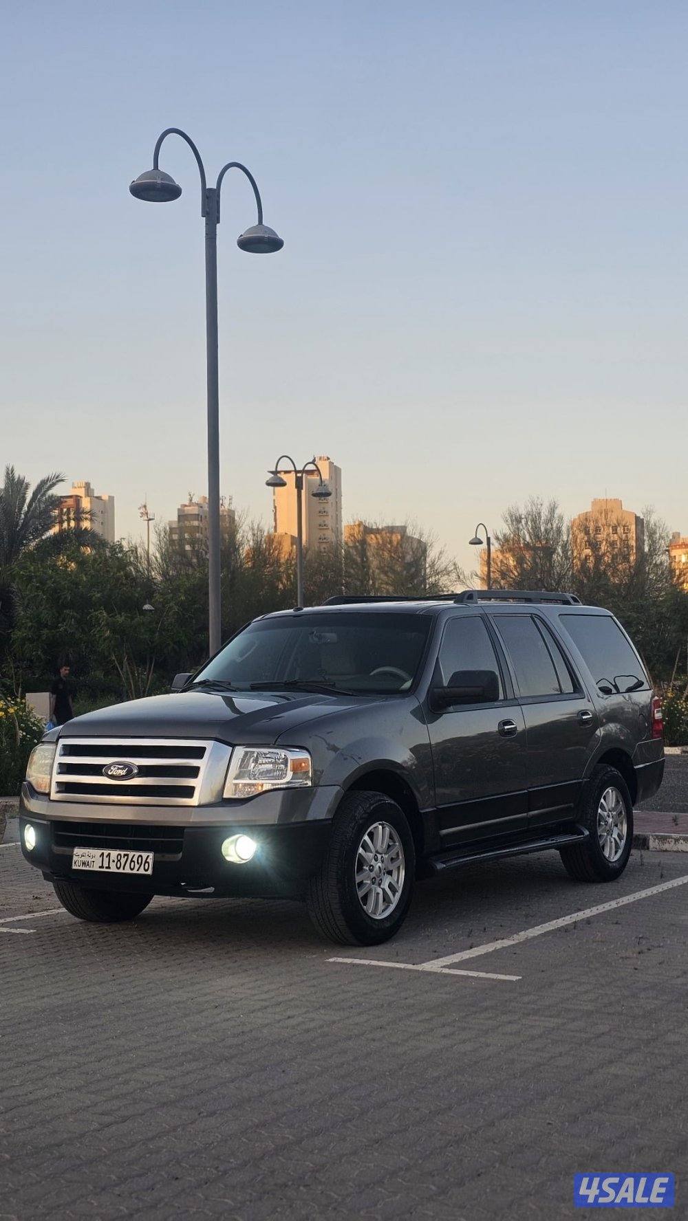 اكسبدشن2012 صبغ وكالة عداقطعة3