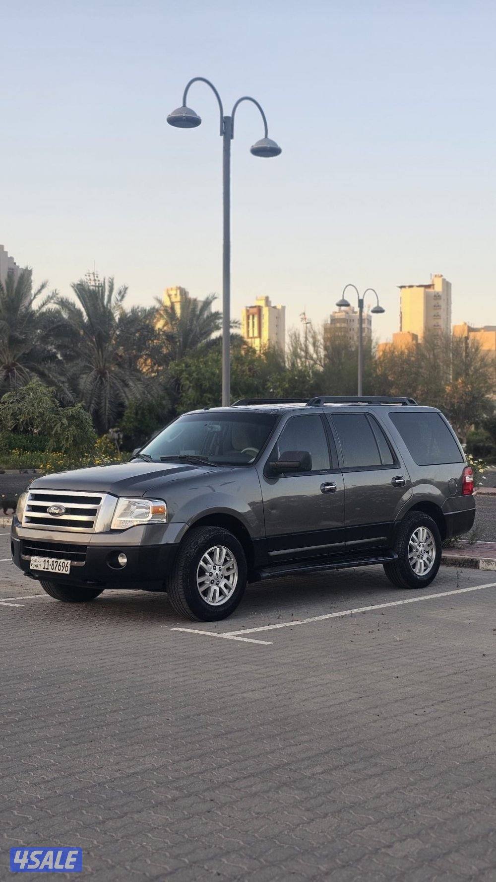 اكسبدشن2012 صبغ وكالة عداقطعة10