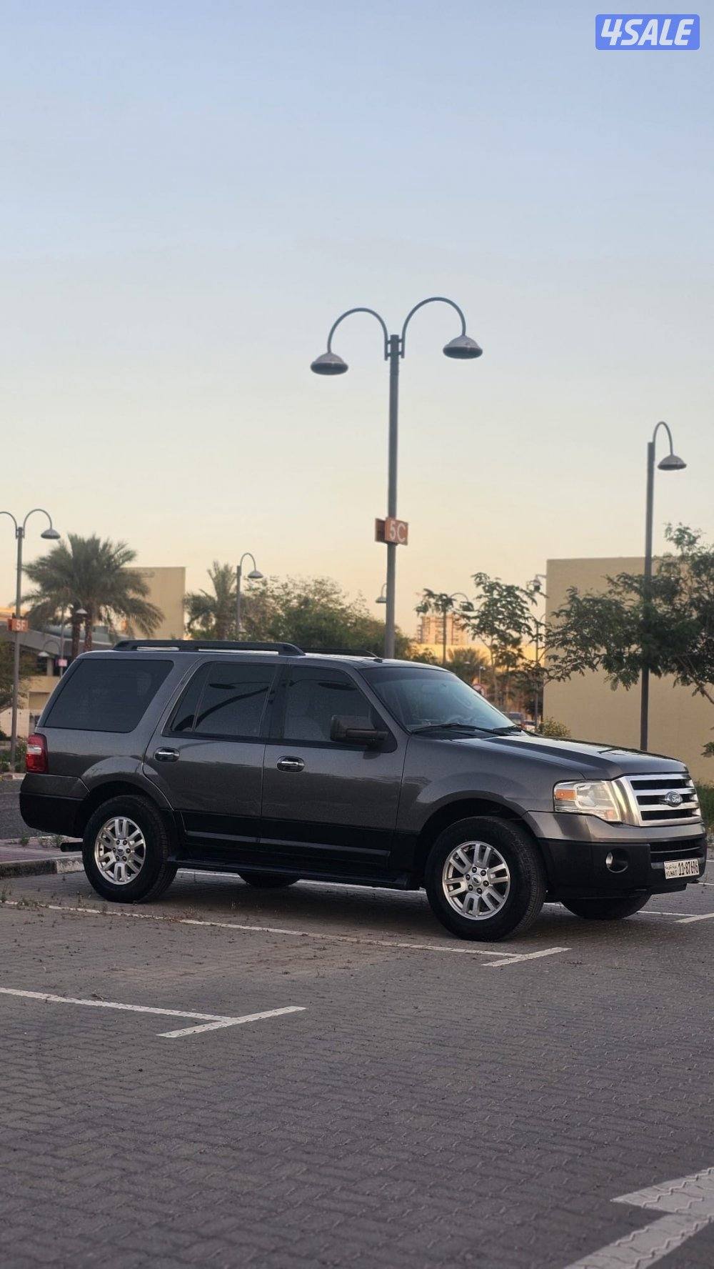 اكسبدشن2012 صبغ وكالة عداقطعة12