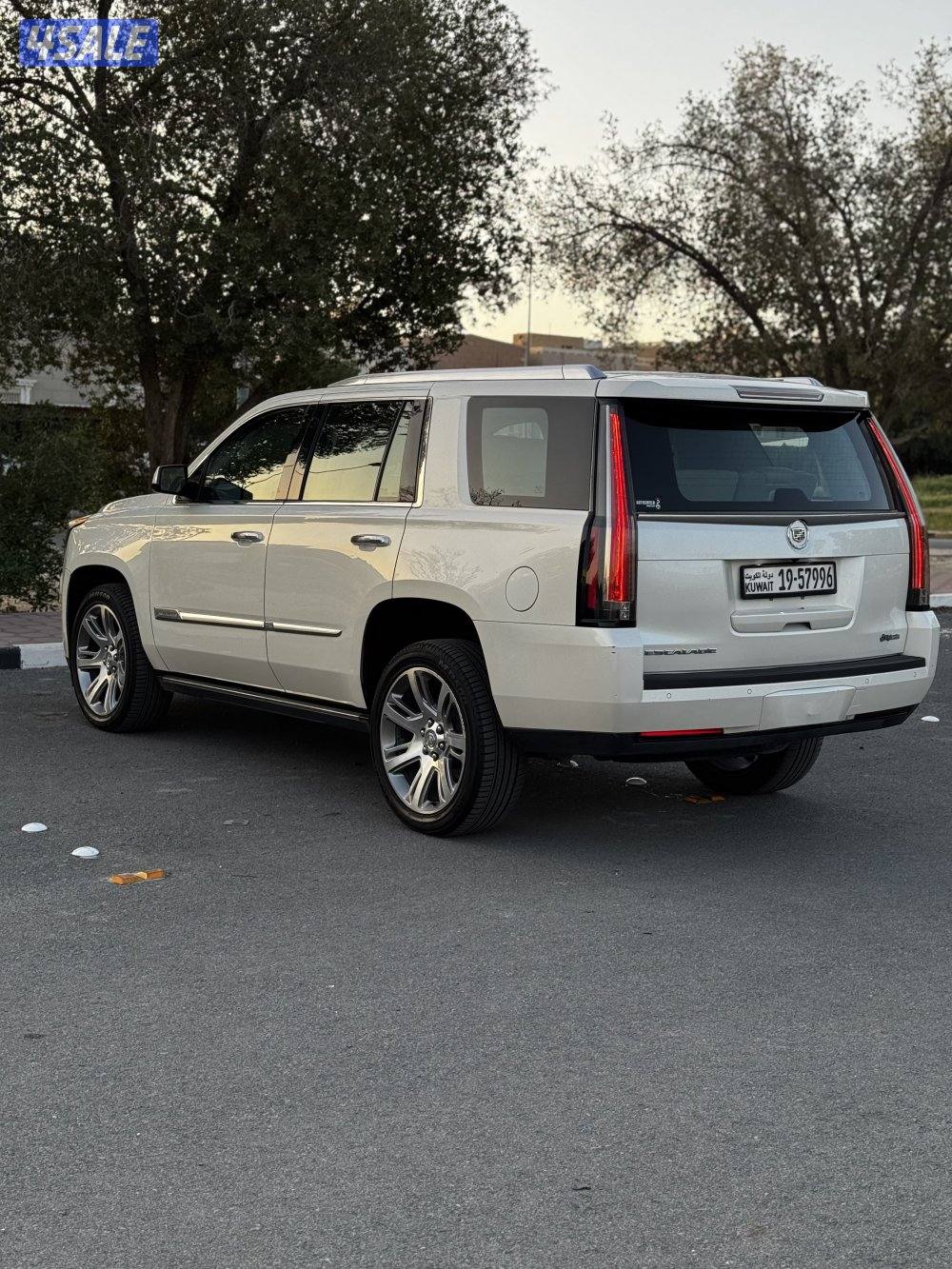 اسكاليد بريميوم 2015 ماشي 240 صبغ الوكاله3