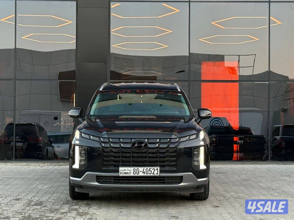 HYUNDAI PALISADE _2025 صبغ الوكالة2