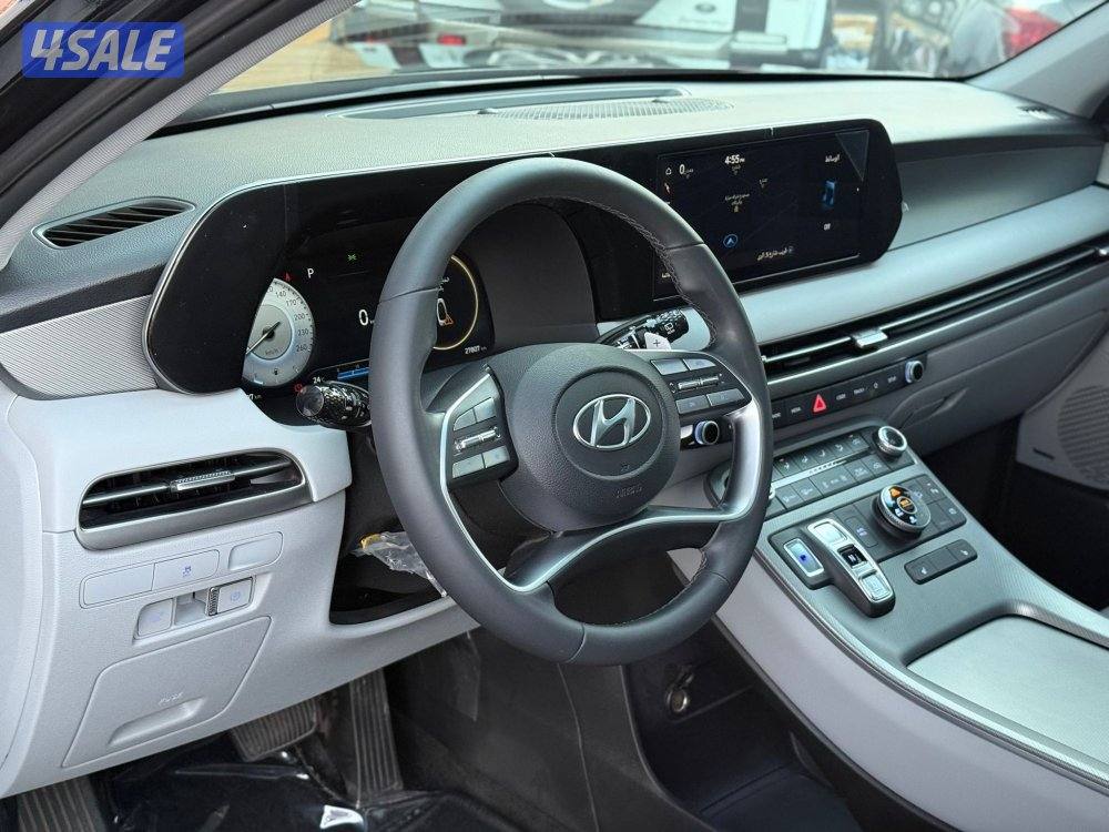 HYUNDAI PALISADE _2025 صبغ الوكالة6