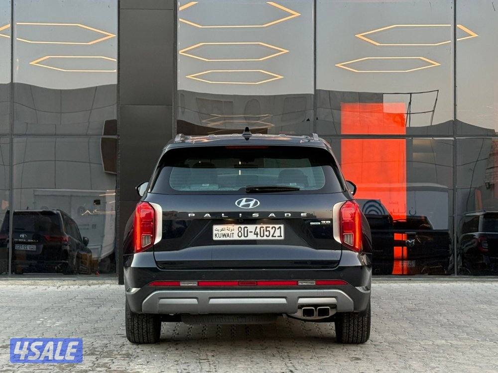 HYUNDAI PALISADE _2025 صبغ الوكالة5