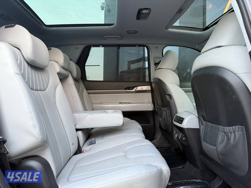 HYUNDAI PALISADE _2025 صبغ الوكالة9