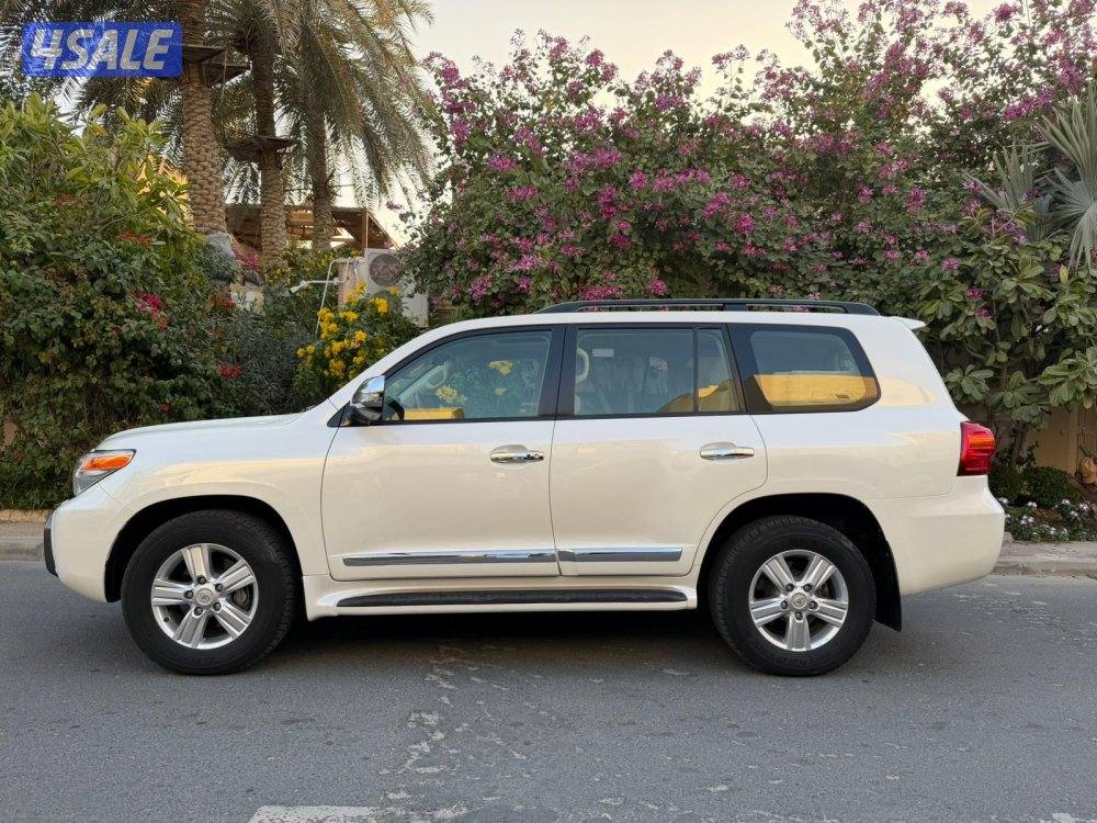 صبغ الوكاله ماشي 1950