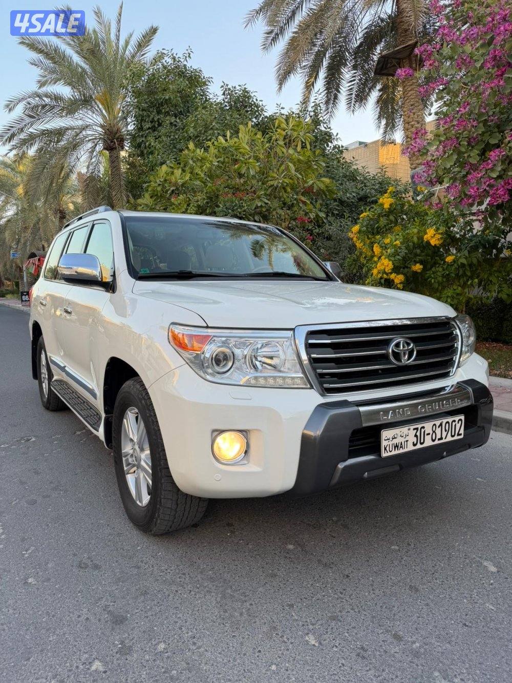 صبغ الوكاله ماشي 1952