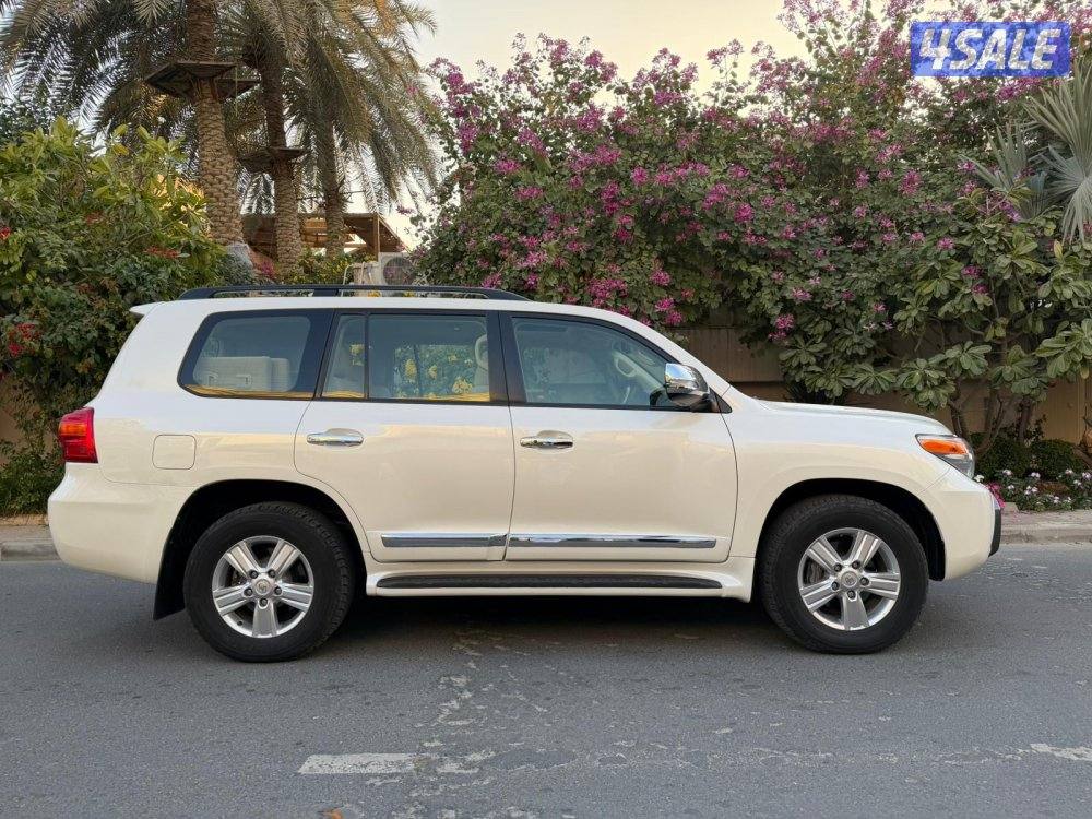 صبغ الوكاله ماشي 1951