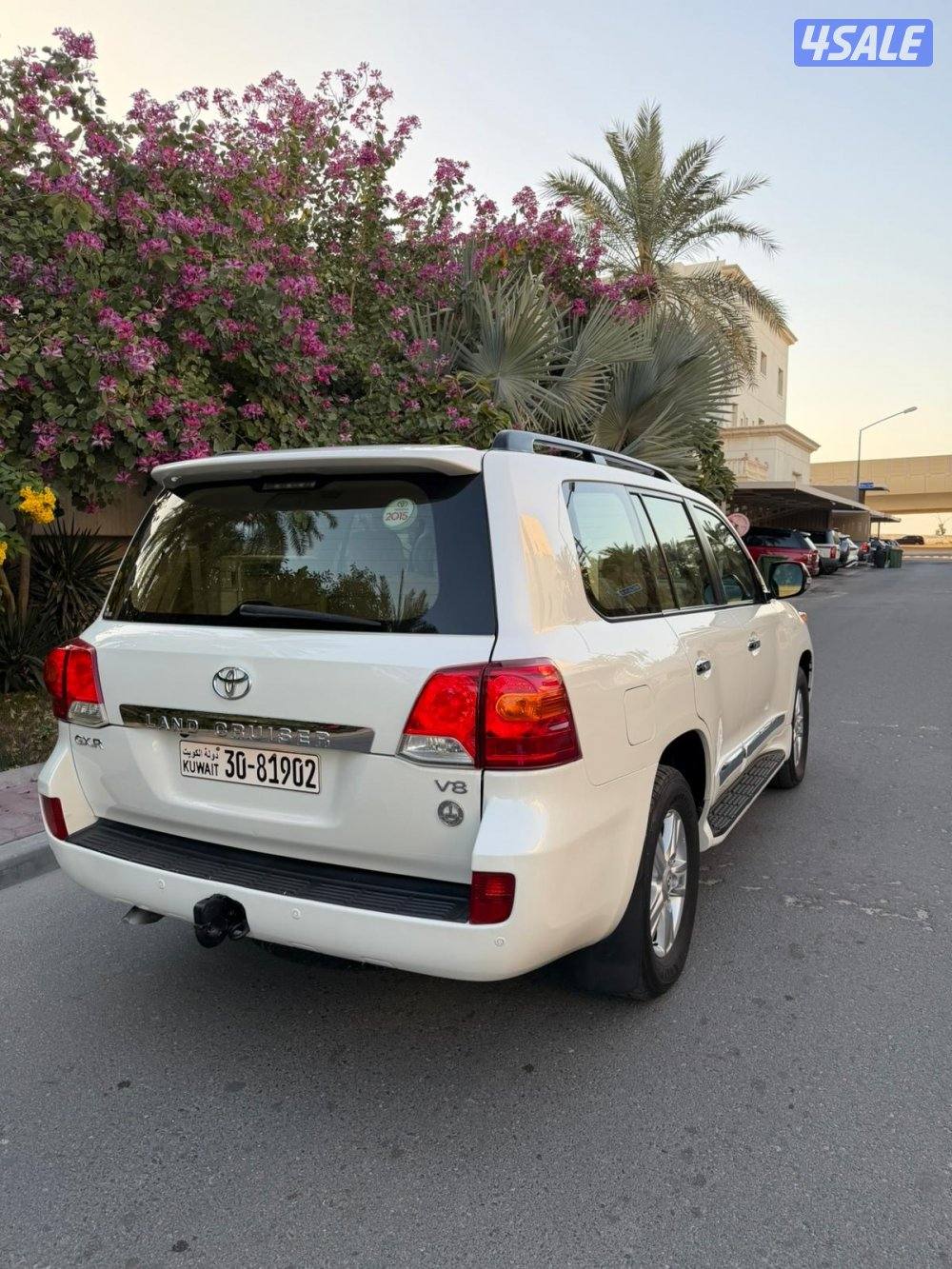 صبغ الوكاله ماشي 1954