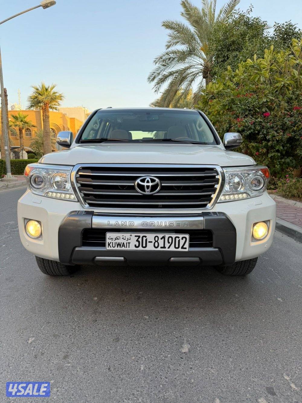 صبغ الوكاله ماشي 1956