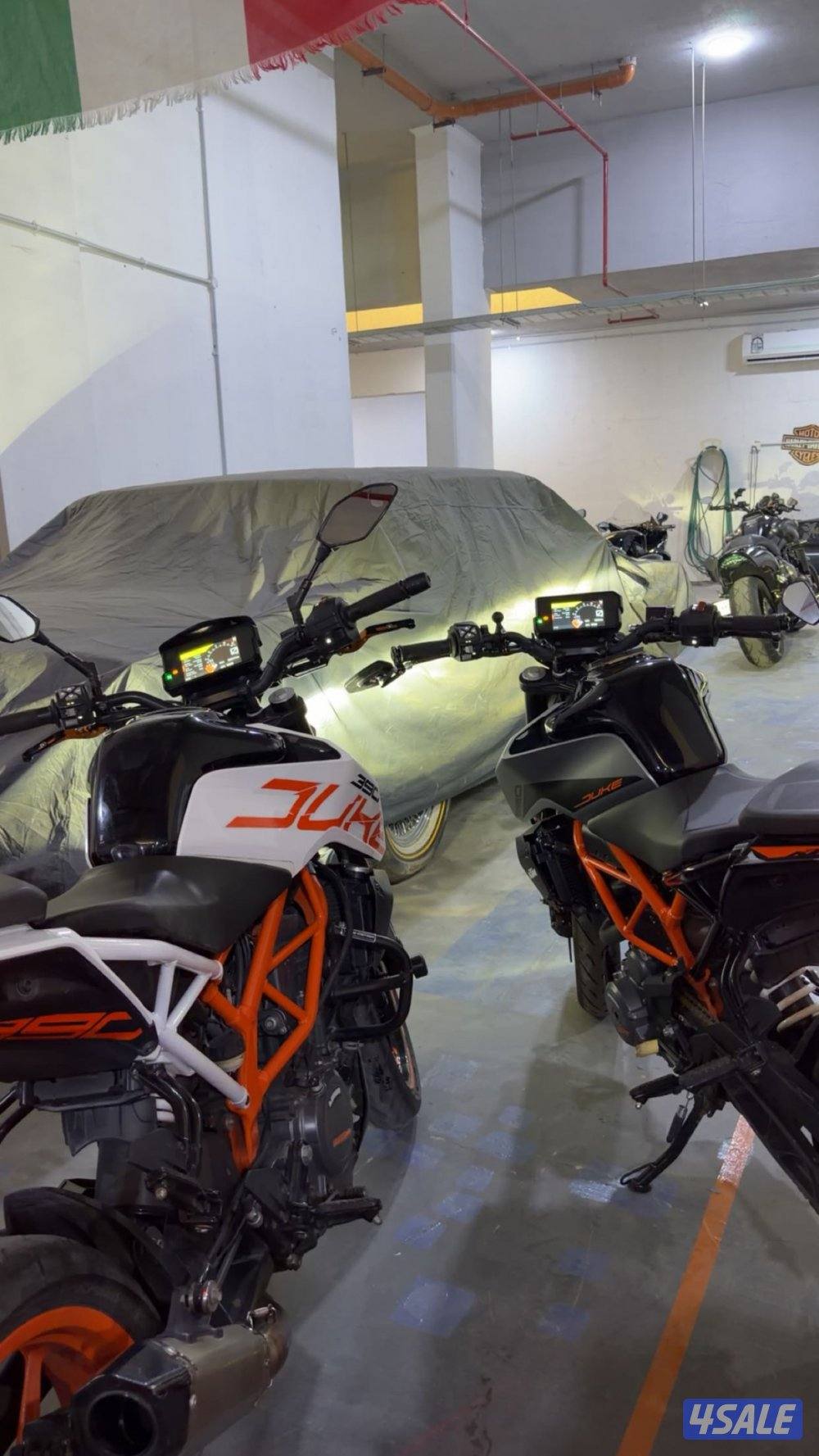 ما تقط دينار1