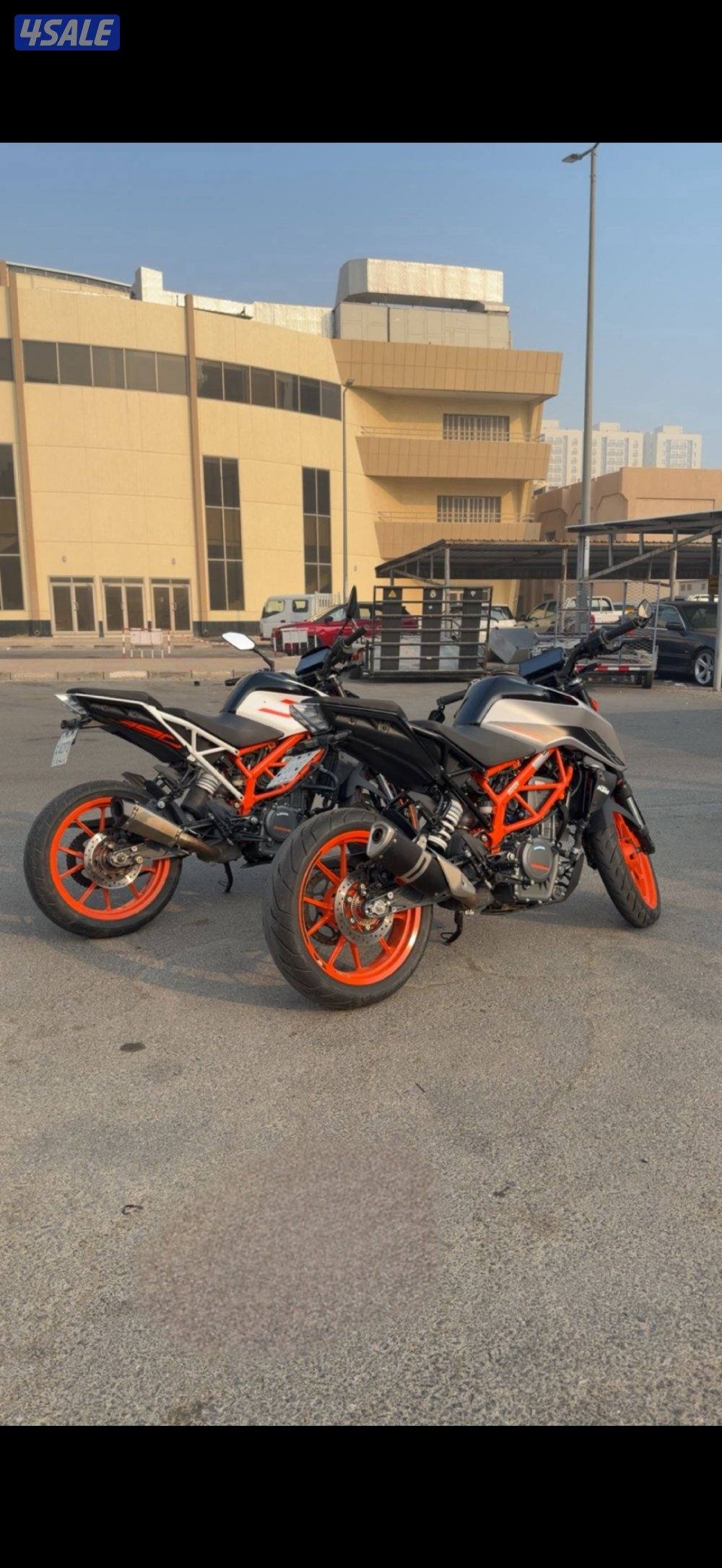 ما تقط دينار2