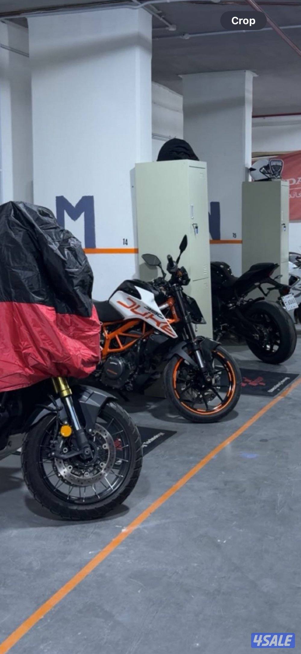 ما تقط دينار3