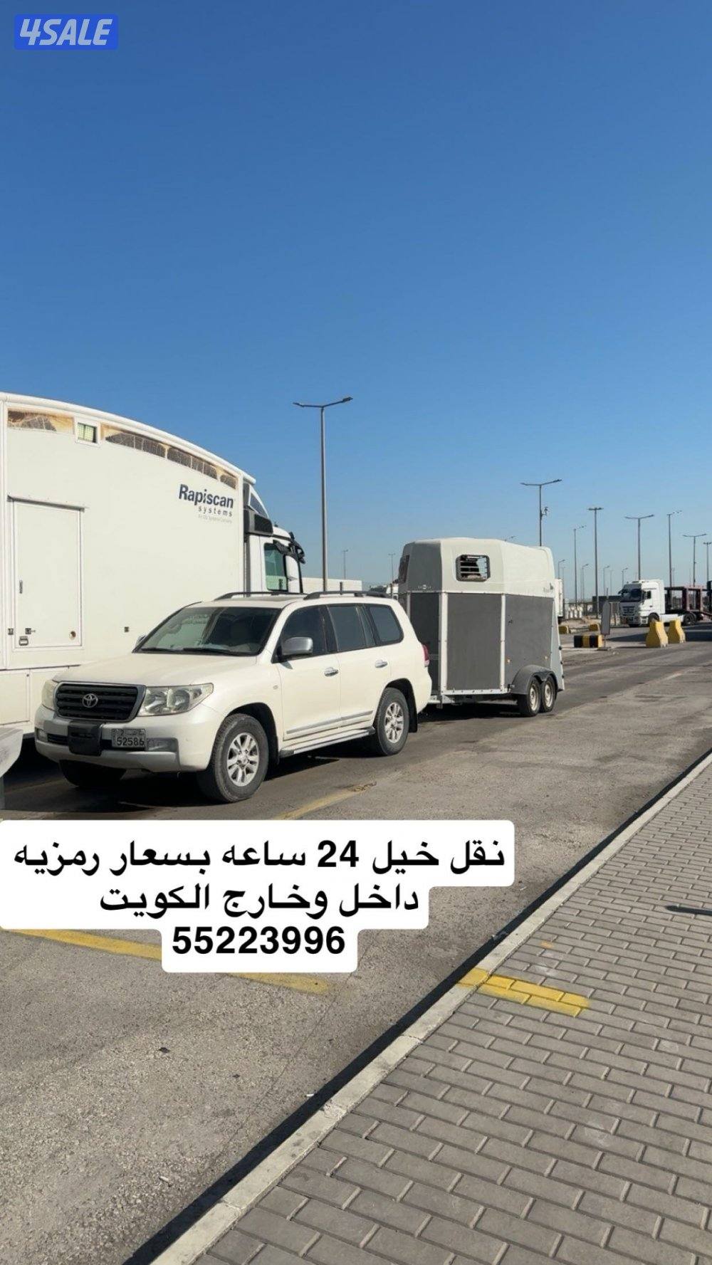 نقل  خيل 24 ساعه بسعار رمزيه0