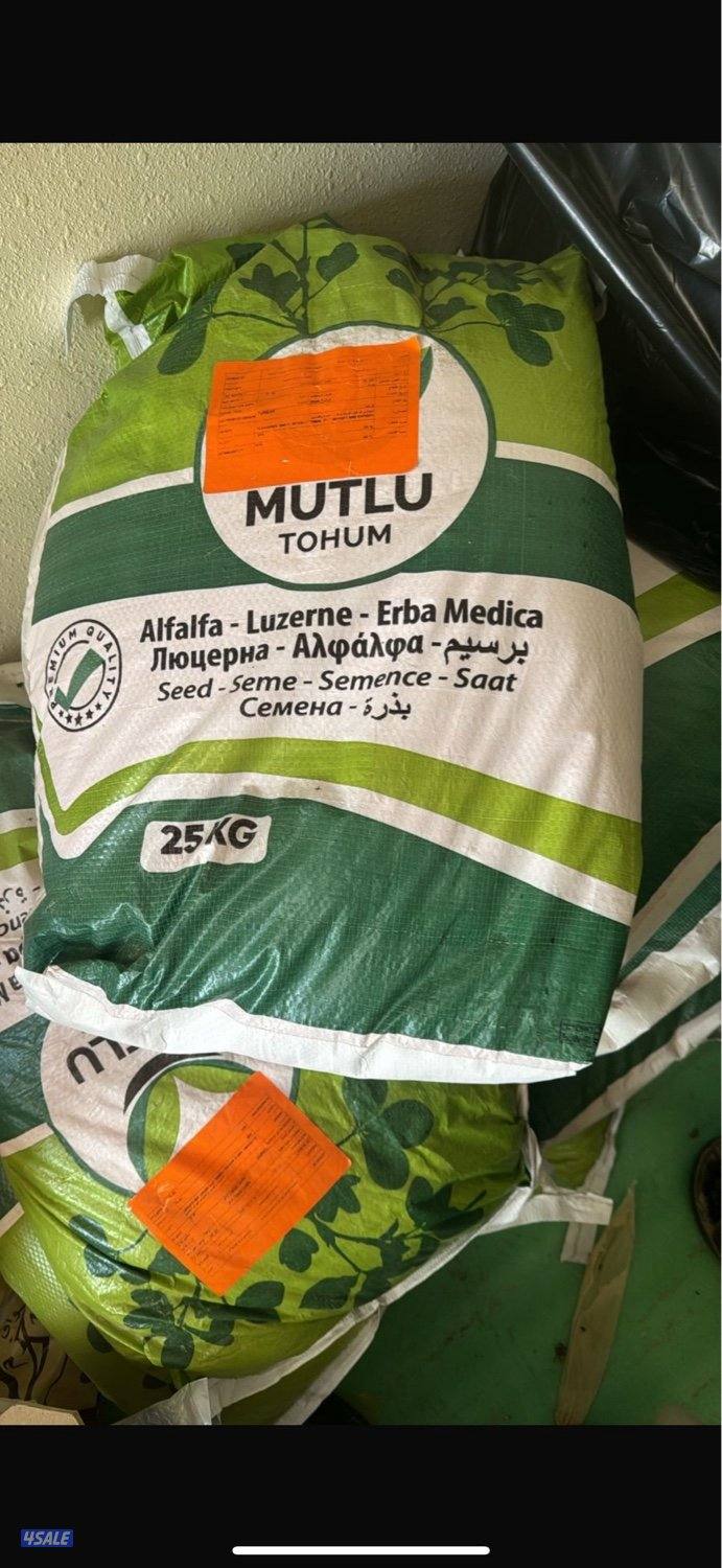 بذر برسيم تركي0