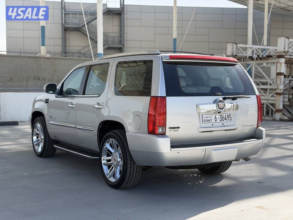 اسكاليد_موديل2010_صبغ الوكاله_عداد280 سيرفس منتظم_الدرجه الاولى4