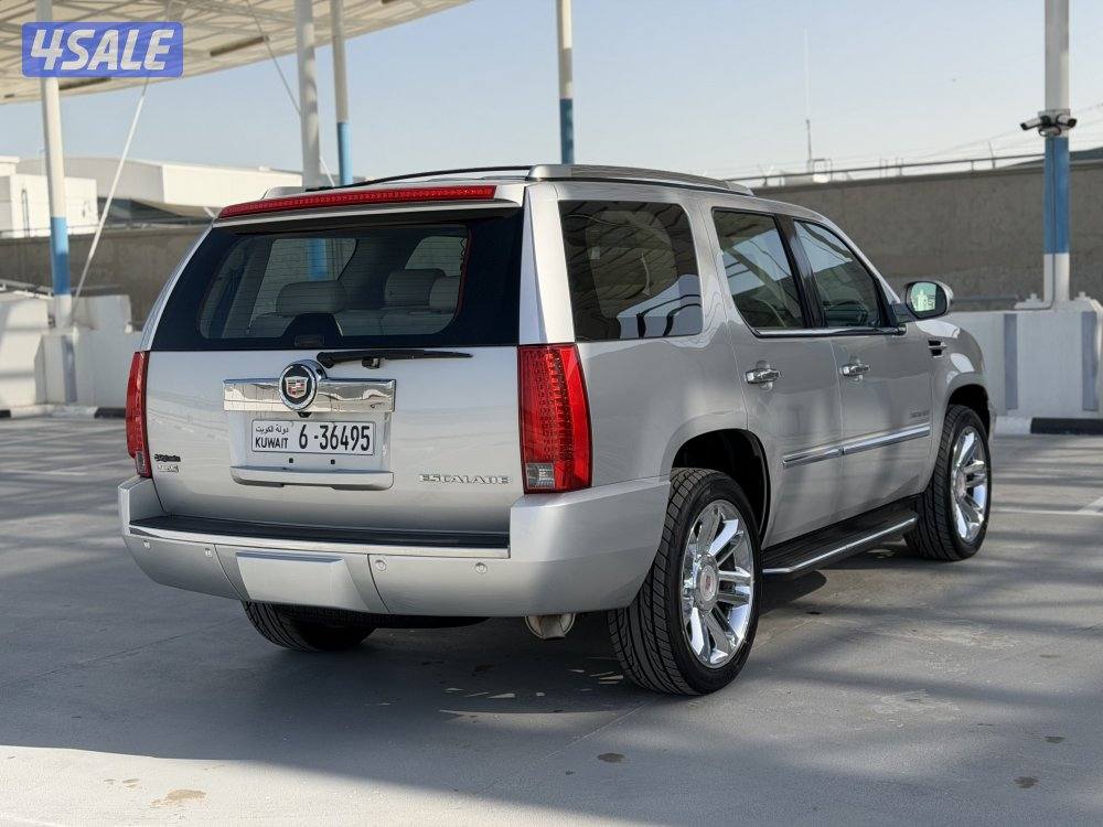 اسكاليد_موديل2010_صبغ الوكاله_عداد280 سيرفس منتظم_الدرجه الاولى5