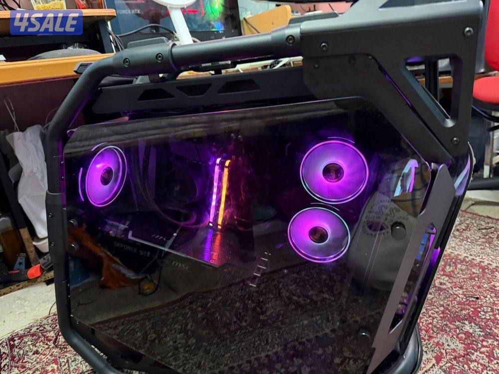 Cougar case original7