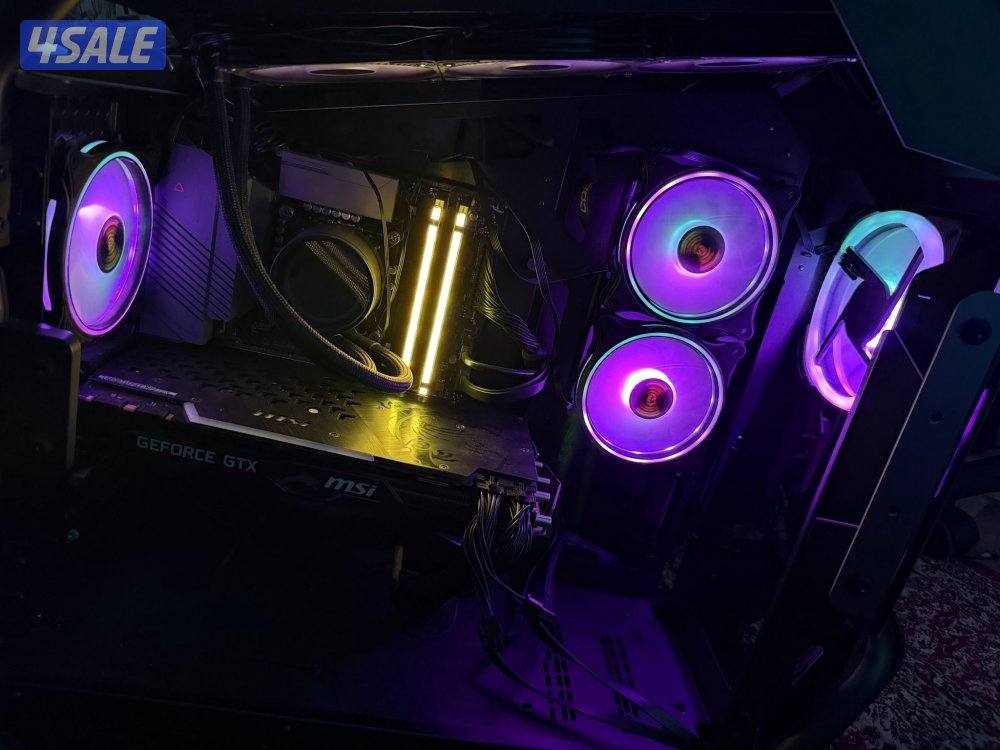 Cougar case original11