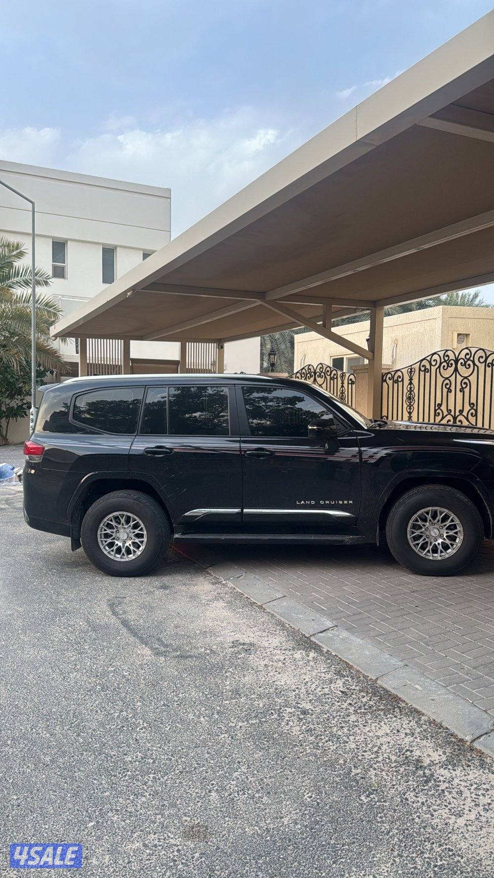 رنغات تيتان شواهين0