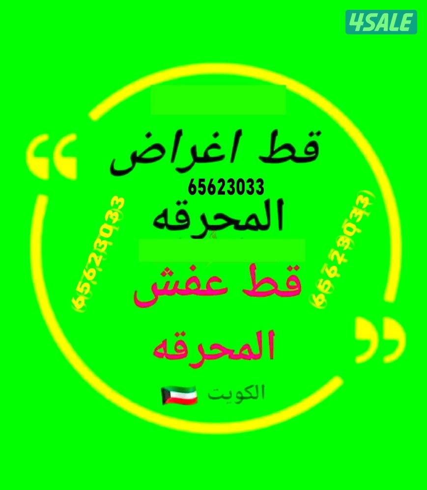 قط@اغراض@قط@اغراض@قط@اغراض@قط@اغراض0