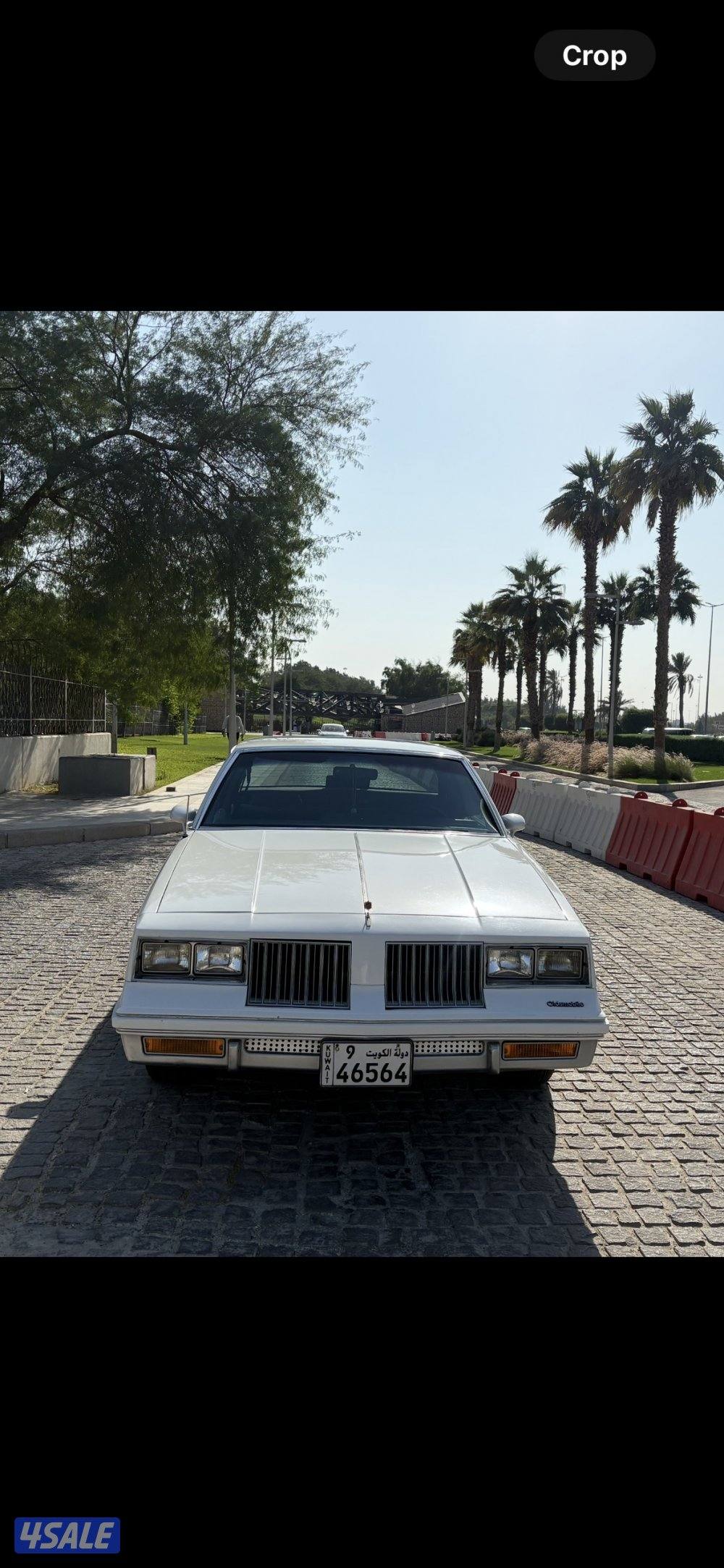 لبيع اوزمبيل كاتلس١٩٨٤ بحاله الوكالة كل شي وكاله سبير وكاله شرط فحص4