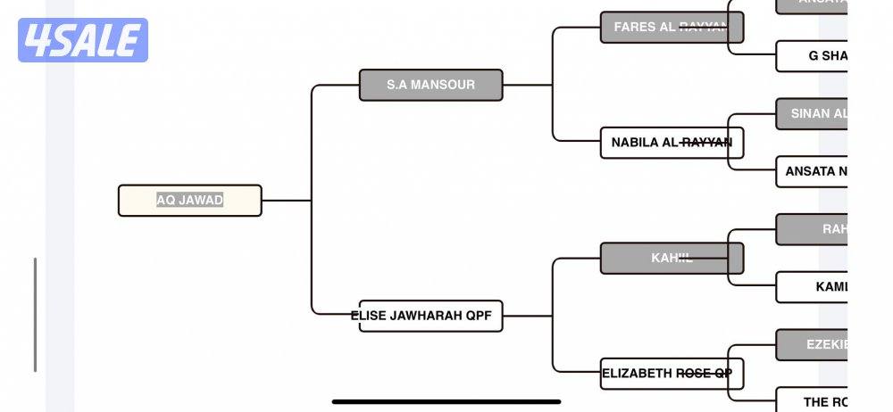 للبيع مصري بيور 231