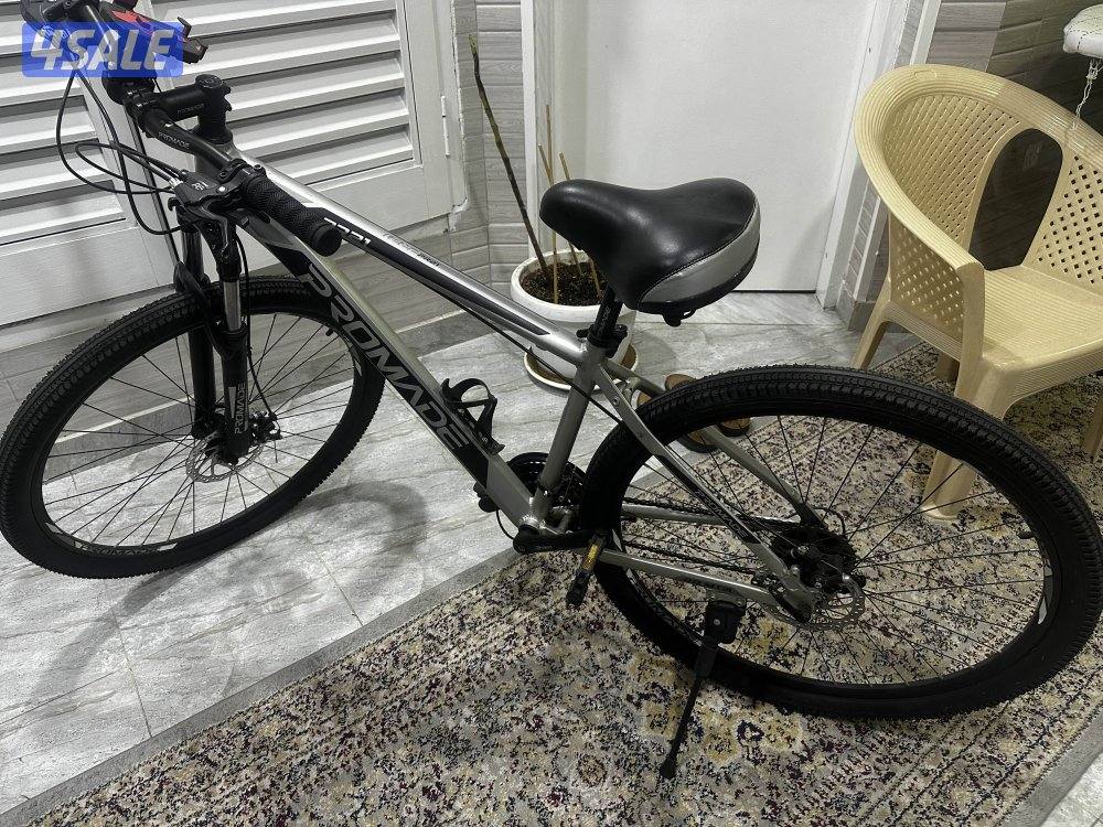 قاري PROMADE PR211