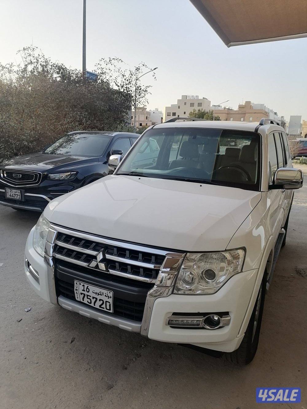 باجيرو ابيض صبغ الوكاله 20180