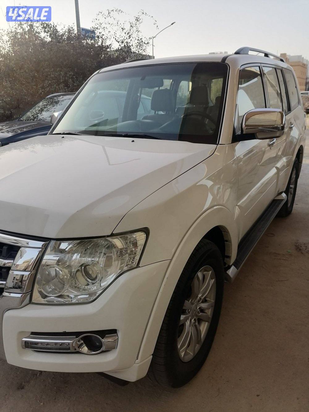 باجيرو ابيض صبغ الوكاله 20182